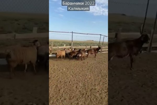 Рабочее зеркало кракен