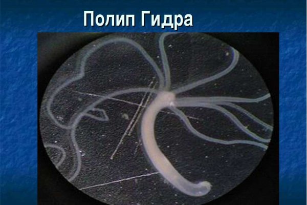Kraken darknet зеркала кракен обход
