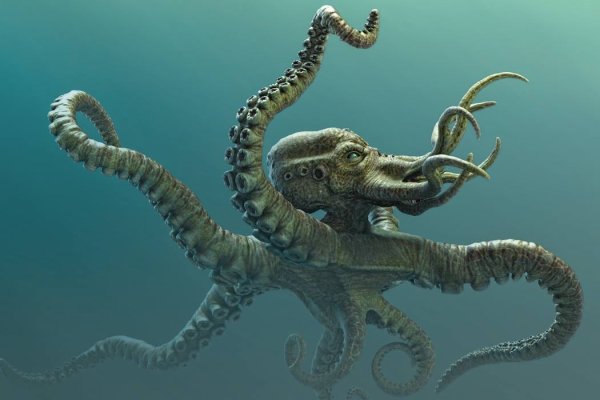 Сайт кракен магазин kraken2 tor2 xyz
