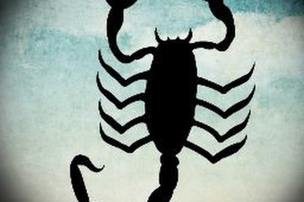Kraken магазин