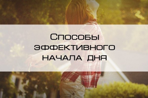 Darknet как войти