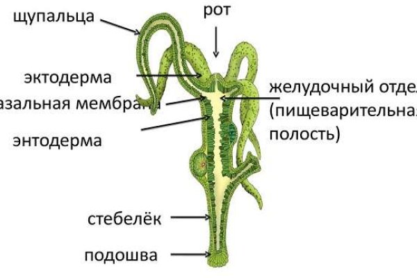 Даркнет зеркало