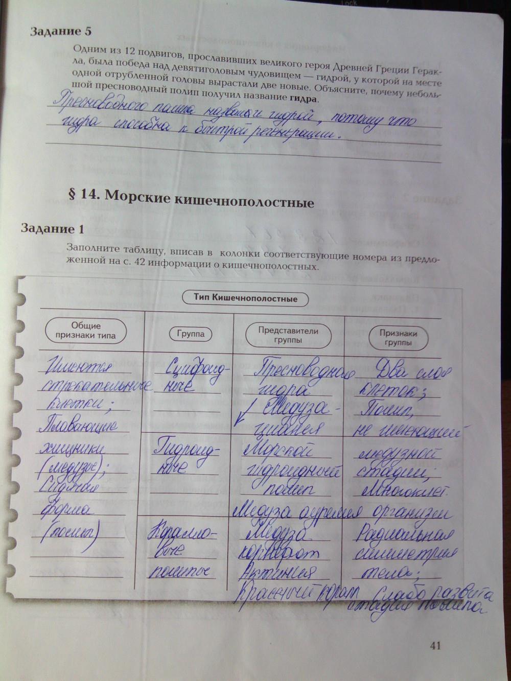 Кракен адрес тор