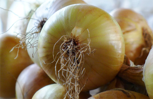 Kraken рабочее зеркало onion